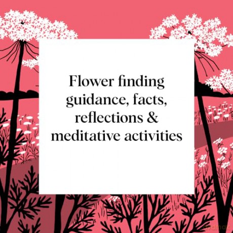 Pocket Nature: Flower Finding: Delight in the Splendor of Wild Blooms - Andrea Debbink [KSIĄŻKA]