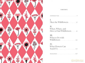 Pocket Nature: Flower Finding: Delight in the Splendor of Wild Blooms - Andrea Debbink [KSIĄŻKA]
