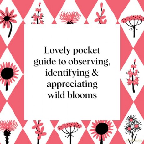 Pocket Nature: Flower Finding: Delight in the Splendor of Wild Blooms - Andrea Debbink [KSIĄŻKA]