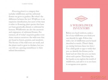 Pocket Nature: Flower Finding: Delight in the Splendor of Wild Blooms - Andrea Debbink [KSIĄŻKA]