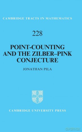 Point-Counting and the Zilber-Pink Conjecture: 228 (Cambridge Tracts in Mathematics, Series Number 228) - Jonathan Pila [KSIĄŻKA]