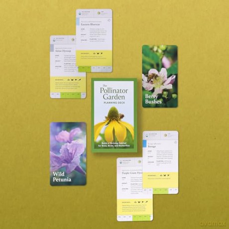 Pollinator Garden Planning Deck: Build a Thriving Habitat for Bees, Birds, and Butterflies (A 109-Card Box Set) - Katz/Katz [KSIĄŻKA]