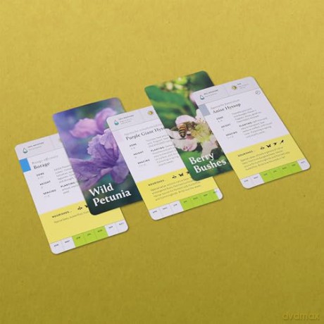 Pollinator Garden Planning Deck: Build a Thriving Habitat for Bees, Birds, and Butterflies (A 109-Card Box Set) - Katz/Katz [KSIĄŻKA]