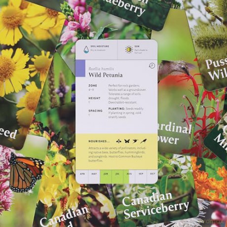 Pollinator Garden Planning Deck: Build a Thriving Habitat for Bees, Birds, and Butterflies (A 109-Card Box Set) - Katz/Katz [KSIĄŻKA]