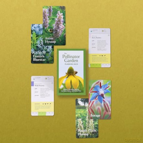 Pollinator Garden Planning Deck: Build a Thriving Habitat for Bees, Birds, and Butterflies (A 109-Card Box Set) - Katz/Katz [KSIĄŻKA]