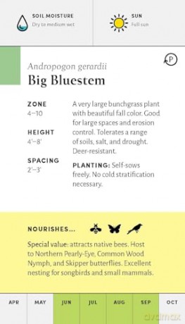 Pollinator Garden Planning Deck: Build a Thriving Habitat for Bees, Birds, and Butterflies (A 109-Card Box Set) - Katz/Katz [KSIĄŻKA]