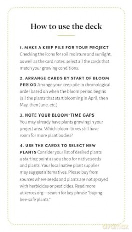 Pollinator Garden Planning Deck: Build a Thriving Habitat for Bees, Birds, and Butterflies (A 109-Card Box Set) - Katz/Katz [KSIĄŻKA]
