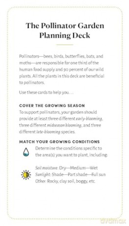 Pollinator Garden Planning Deck: Build a Thriving Habitat for Bees, Birds, and Butterflies (A 109-Card Box Set) - Katz/Katz [KSIĄŻKA]