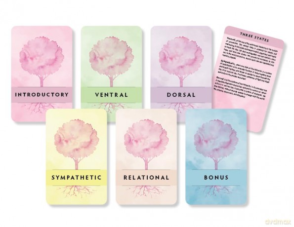 Polyvagal Card Deck: 58 Practices for Calm and Change - Deb Dana [KSIĄŻKA]