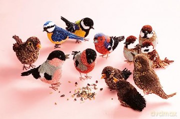 Pom-Pom Birds: Craft an artisan yarn flock - Susanne Pypke [KSIĄŻKA]