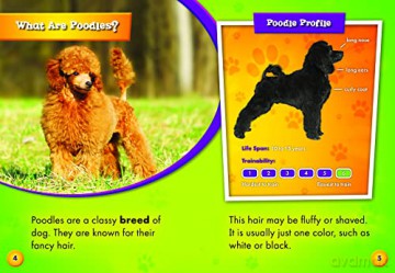 Poodles (Awesome Dogs) - Breanna Berry [KSIĄŻKA]