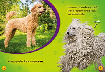 Poodles (Awesome Dogs) - Breanna Berry [KSIĄŻKA]