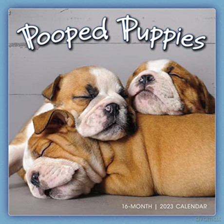 Pooped Puppies September 2022-December 2023 Calendar (WALL 16 MONTH) [KALENDARZ]
