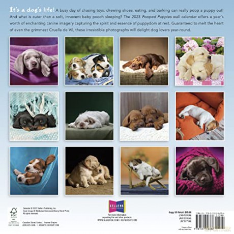 Pooped Puppies September 2022-December 2023 Calendar (WALL 16 MONTH) [KALENDARZ]