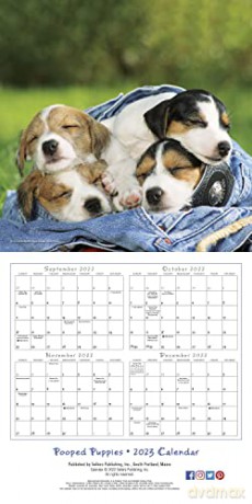 Pooped Puppies September 2022-December 2023 Calendar (WALL 16 MONTH) [KALENDARZ]