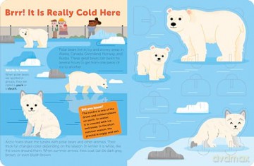 Pop Out at the Zoo: Read, Build, and Play with these Fantastic Animals at the Zoo: 4 (Pop Out Books) - duopress [KSIĄŻKA]