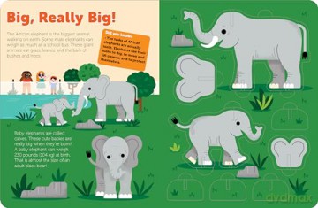 Pop Out at the Zoo: Read, Build, and Play with these Fantastic Animals at the Zoo: 4 (Pop Out Books) - duopress [KSIĄŻKA]