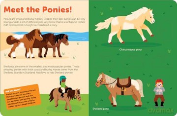 Pop Out Horses: Read, Build, and Play with These Fantastic Horses and Ponies: 5 (Pop Out Books) - duopress [KSIĄŻKA]