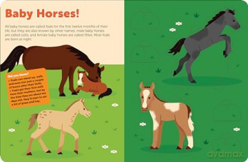 Pop Out Horses: Read, Build, and Play with These Fantastic Horses and Ponies: 5 (Pop Out Books) - duopress [KSIĄŻKA]