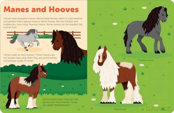 Pop Out Horses: Read, Build, and Play with These Fantastic Horses and Ponies: 5 (Pop Out Books) - duopress [KSIĄŻKA]