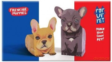 Pop Up Pet Frenchie Puppies: Make your own 3D card pet!: 14 - Roz Streeten [KSIĄŻKA]