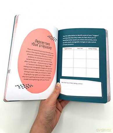 Positivity for Every Day Journal: Simple Tips and Guided Exercises to Help You Look on the Bright Side [KALENDARZ]