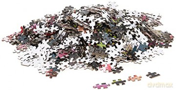 Princeton Architectural Press 9781648960031 Toy - Christin Geall [PUZZLE]