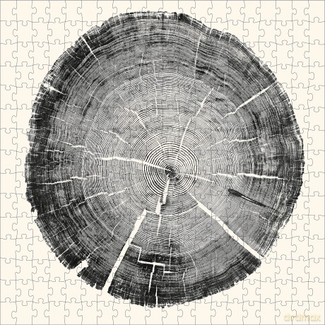 Princeton Architectural Press 9781648960932 Puzzle - Princeton Architectural Press [PUZZLE]
