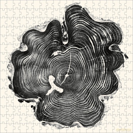 Princeton Architectural Press 9781648960932 Puzzle - Princeton Architectural Press [PUZZLE]