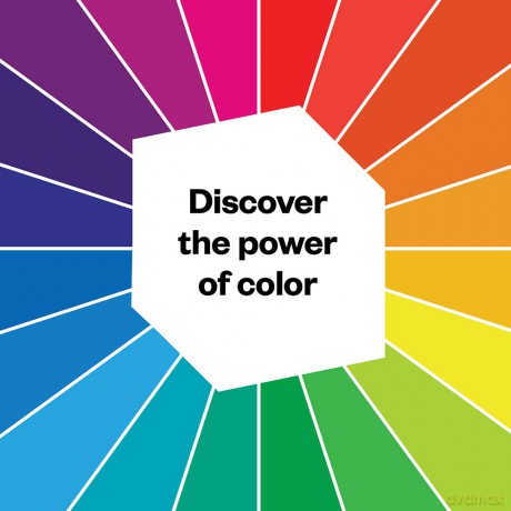 Prism Oracle: Discover the power of color. This unique Prism Oracle deck uses the language of color to tap into your intuition. - Nicole Pivirotto [KSIĄŻKA]