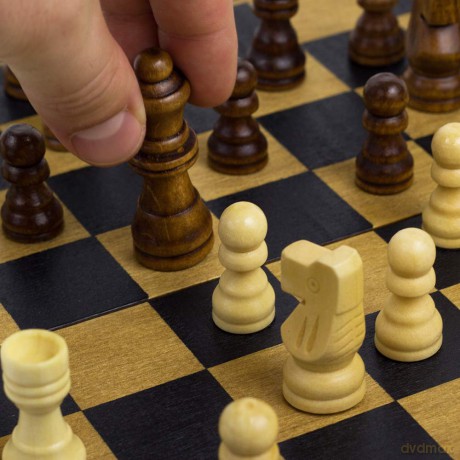 Professor Puzzle | Chess - Wooden Games Workshop| Strategy Game | Ages 10+ | 2 Players [KSIĄŻKA]