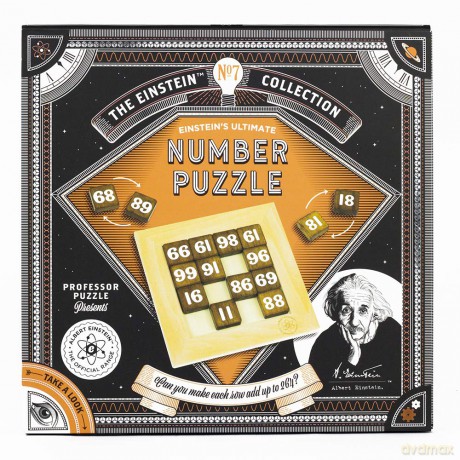 Professor Puzzle 3D Brain Teaser Puzzle - The Einstein Collection Ultimate Number Puzzle, Brain Game [PUZZLE]