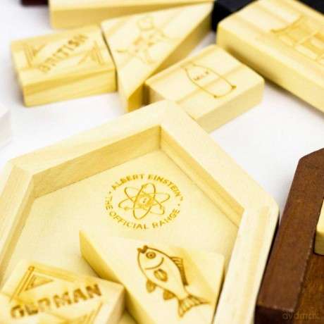 Professor Puzzle Einstein's House Riddle - Brain Teaser Puzzle - 3D Wooden Puzzle [PUZZLE]