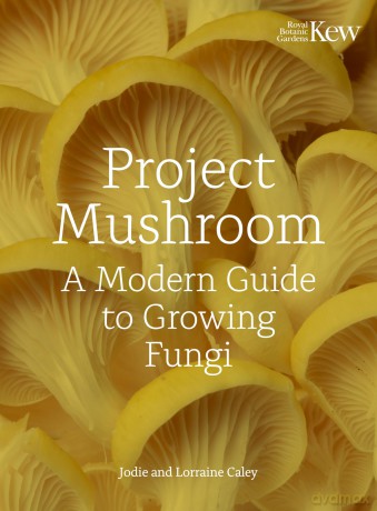 Project Mushroom: A Modern Guide to Growing Fungi - Lorraine Caley [KSIĄŻKA]