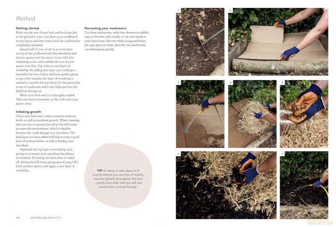 Project Mushroom: A Modern Guide to Growing Fungi - Lorraine Caley [KSIĄŻKA]