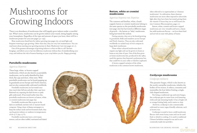 Project Mushroom: A Modern Guide to Growing Fungi - Lorraine Caley [KSIĄŻKA]