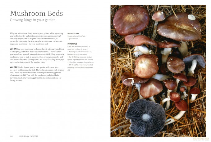 Project Mushroom: A Modern Guide to Growing Fungi - Lorraine Caley [KSIĄŻKA]