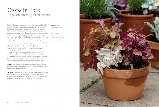 Project Mushroom: A Modern Guide to Growing Fungi - Lorraine Caley [KSIĄŻKA]