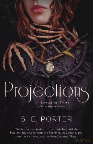 Projections: A Novel (The Projections) - The Projections S E Porter [KSIĄŻKA]