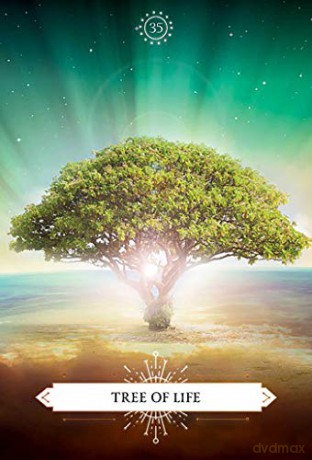 Psychic Reading Cards: Awaken your psychic abilities - Debbie Malone [KSIĄŻKA]