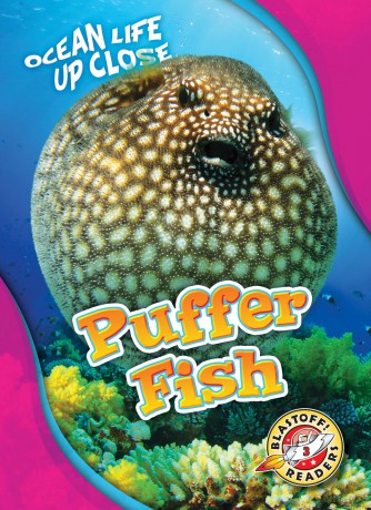 Puffer Fish (Ocean Life Up Close) - Rebecca Pettiford [KSIĄŻKA]