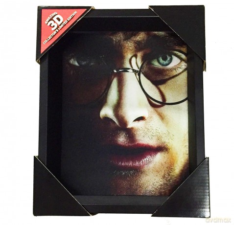 Obraz 3D Harry Potter - Harry vs Voldemort