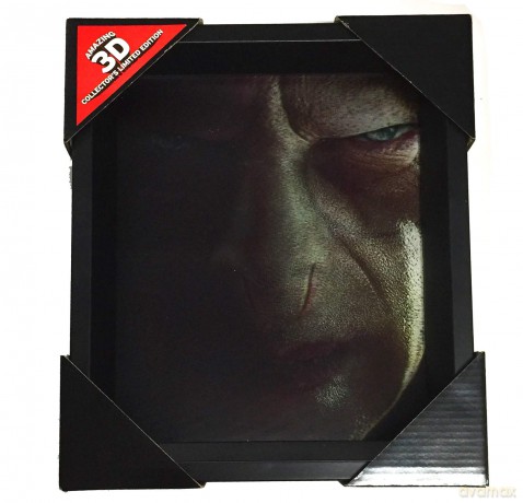 Obraz 3D Harry Potter - Harry vs Voldemort