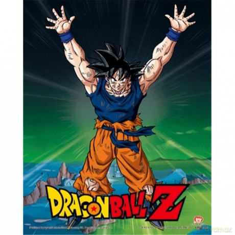 Pyramid International Dragon Ball Z 3D Lenticular Poster in Box Frame (Super Saiyan Goku Design) 25cm x 20cm x 1.3cm - Official Merchandise [KSIĄŻKA]