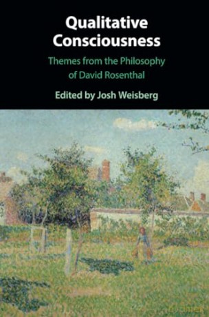 Qualitative Consciousness: Themes from the Philosophy of David Rosenthal - Josh Weisberg [KSIĄŻKA]