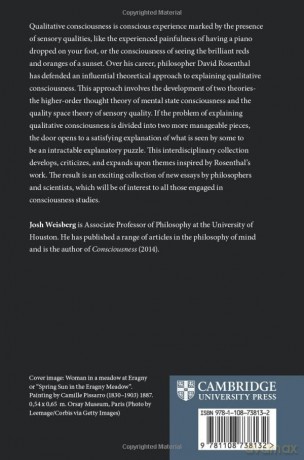 Qualitative Consciousness: Themes from the Philosophy of David Rosenthal - Josh Weisberg [KSIĄŻKA]