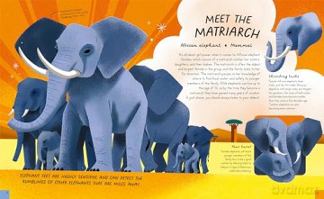 Queens of the Jungle: Meet the Female Animals Who Rule the Animal Kingdom! - Carly Anne York [KSIĄŻKA]