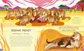 Queens of the Jungle: Meet the Female Animals Who Rule the Animal Kingdom! - Carly Anne York [KSIĄŻKA]