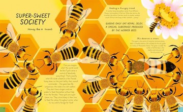 Queens of the Jungle: Meet the Female Animals Who Rule the Animal Kingdom! - Carly Anne York [KSIĄŻKA]