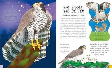 Queens of the Jungle: Meet the Female Animals Who Rule the Animal Kingdom! - Carly Anne York [KSIĄŻKA]